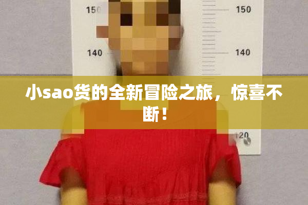 小sao货的全新冒险之旅，惊喜不断！