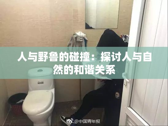 人与野鲁的碰撞：探讨人与自然的和谐关系