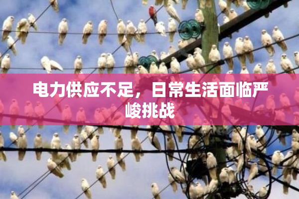 电力供应不足，日常生活面临严峻挑战