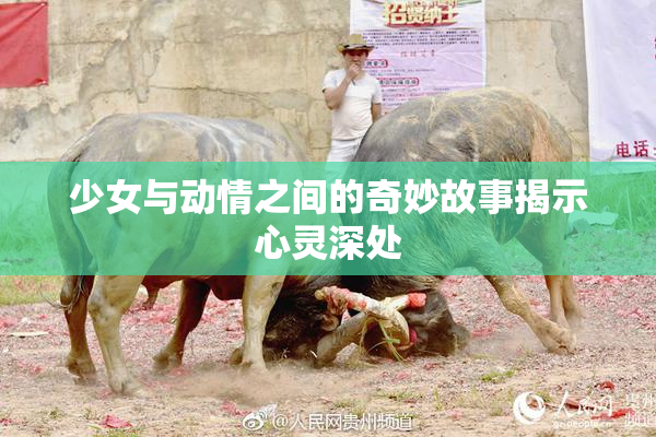 少女与动情之间的奇妙故事揭示心灵深处