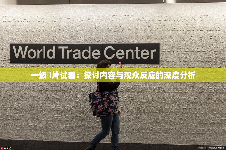 一级婬片试看：探讨内容与观众反应的深度分析