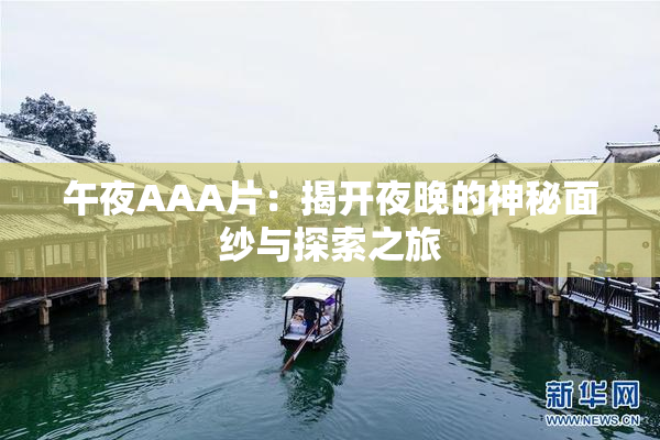 午夜AAA片：揭开夜晚的神秘面纱与探索之旅