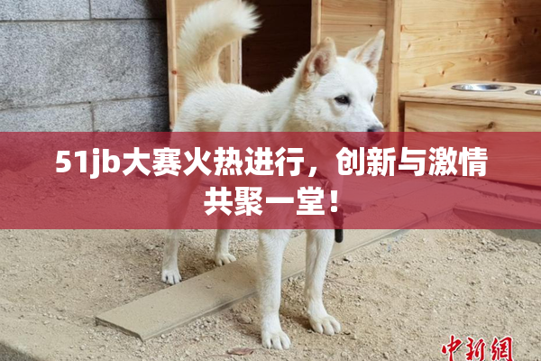 51jb大赛火热进行，创新与激情共聚一堂！