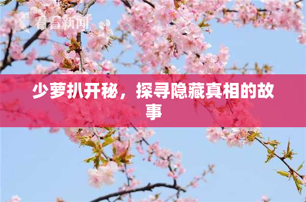 少萝扒开秘，探寻隐藏真相的故事