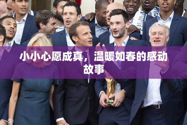 小小心愿成真，温暖如春的感动故事
