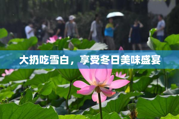 大扔吃雪白，享受冬日美味盛宴
