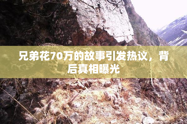 兄弟花70万的故事引发热议，背后真相曝光
