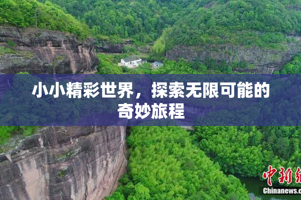 小小精彩世界，探索无限可能的奇妙旅程