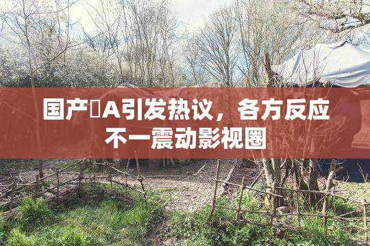 国产婬A引发热议，各方反应不一震动影视圈