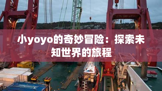 小yoyo的奇妙冒险：探索未知世界的旅程