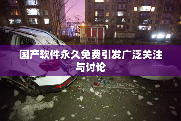 国产软件永久免费引发广泛关注与讨论