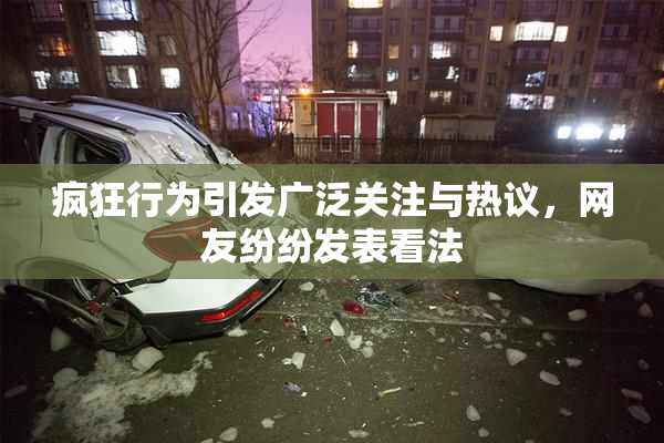 疯狂行为引发广泛关注与热议，网友纷纷发表看法