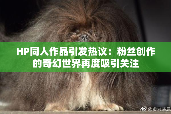 HP同人作品引发热议：粉丝创作的奇幻世界再度吸引关注