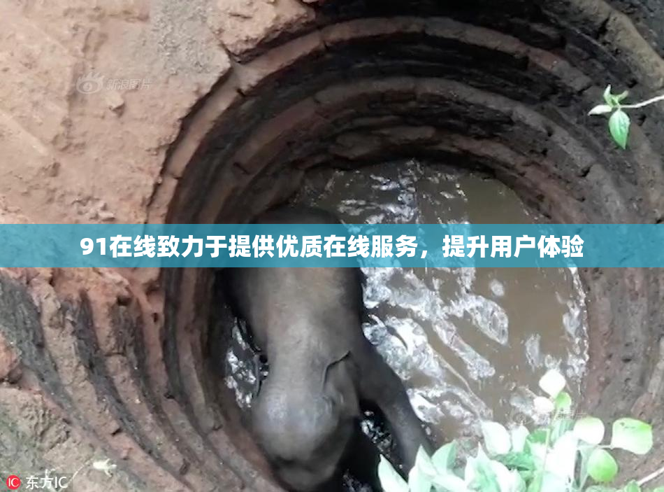 91在线致力于提供优质在线服务，提升用户体验
