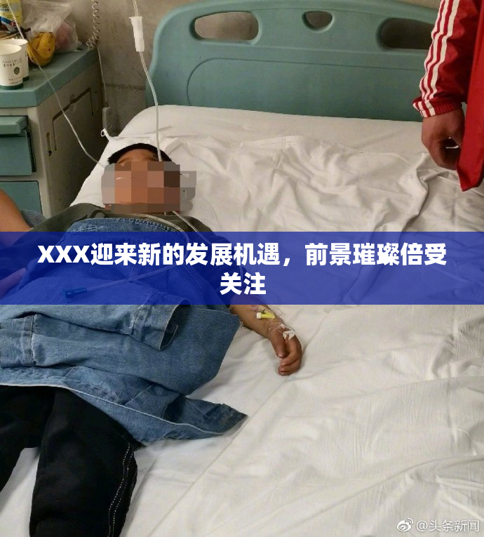 XXX迎来新的发展机遇，前景璀璨倍受关注