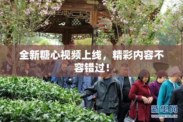 全新糖心视频上线，精彩内容不容错过！
