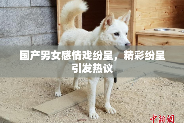 国产男女感情戏纷呈，精彩纷呈引发热议