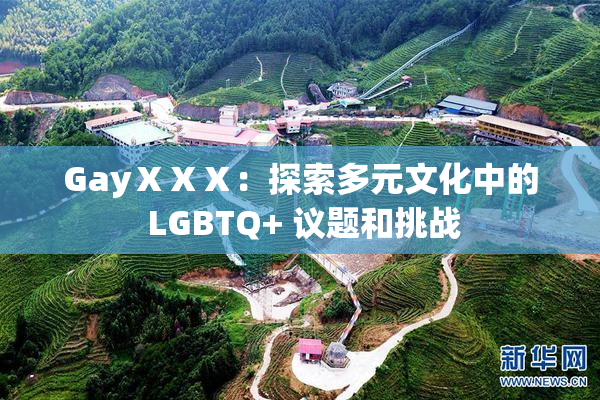GayⅩⅩⅩ：探索多元文化中的 LGBTQ+ 议题和挑战