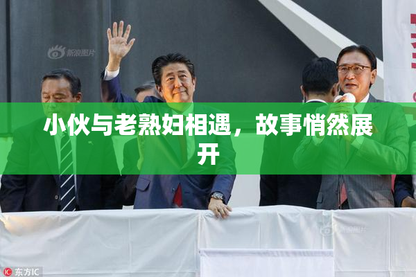 小伙与老熟妇相遇，故事悄然展开