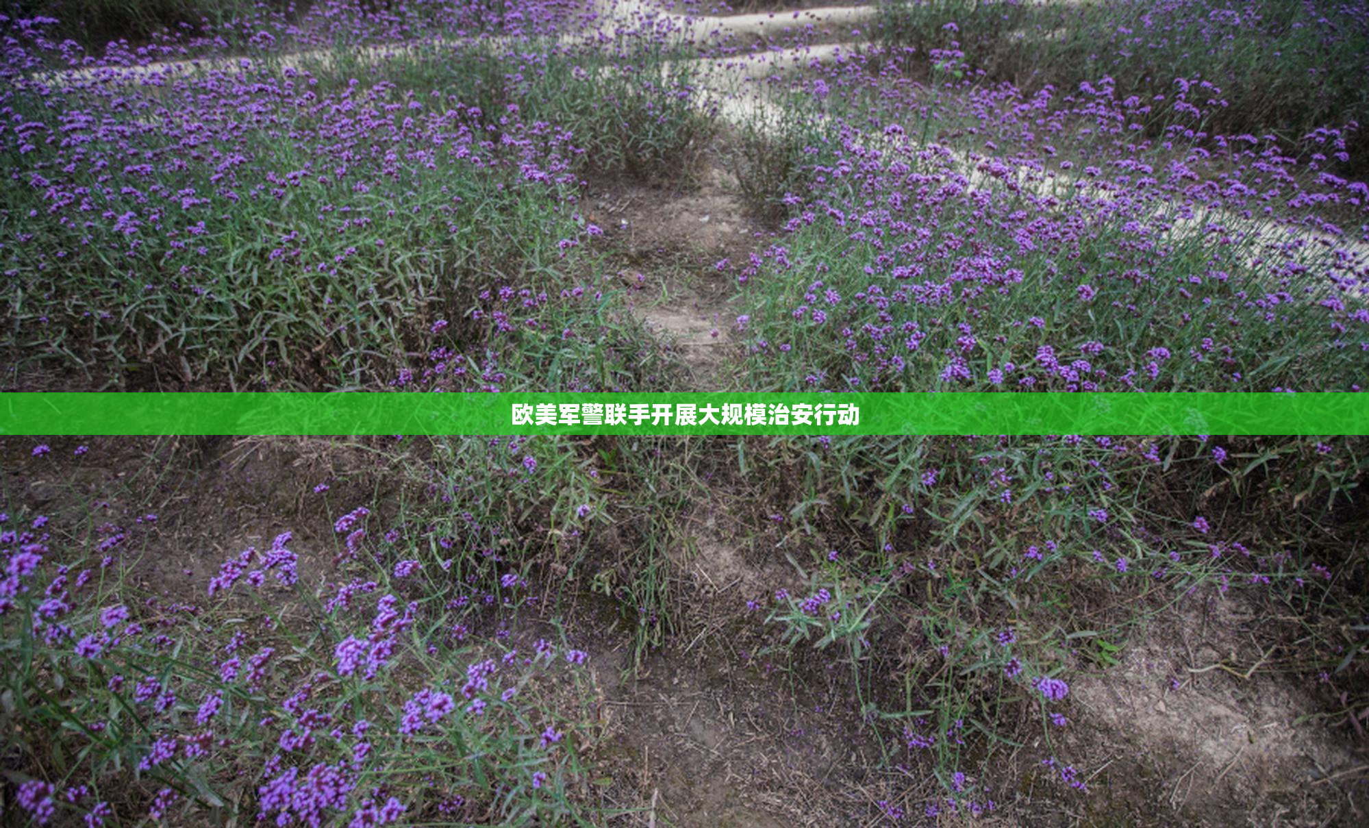 欧美军警联手开展大规模治安行动