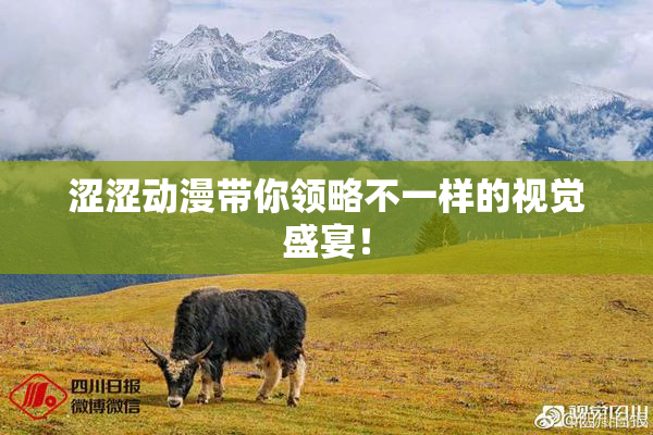 涩涩动漫带你领略不一样的视觉盛宴！