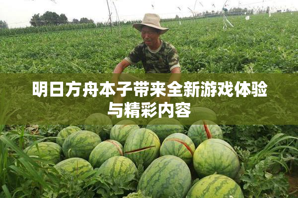 明日方舟本子带来全新游戏体验与精彩内容