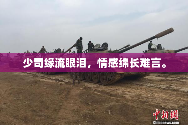 少司缘流眼泪，情感绵长难言。