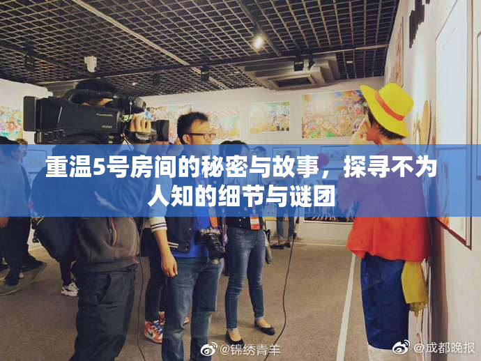 重温5号房间的秘密与故事，探寻不为人知的细节与谜团