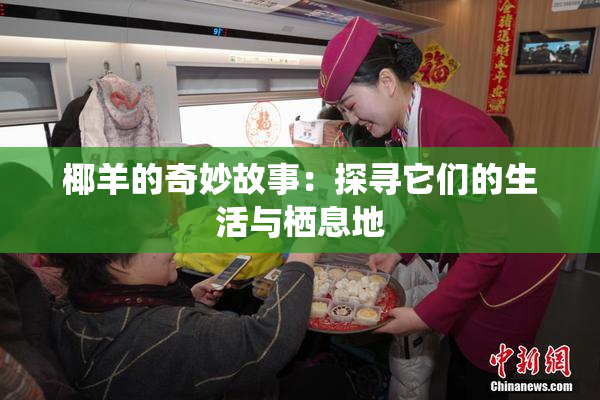 椰羊的奇妙故事：探寻它们的生活与栖息地