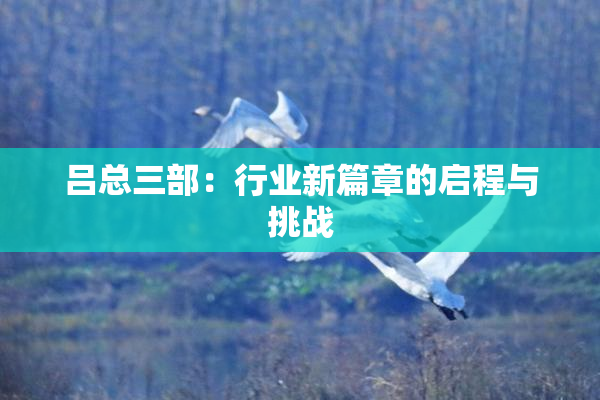 吕总三部：行业新篇章的启程与挑战