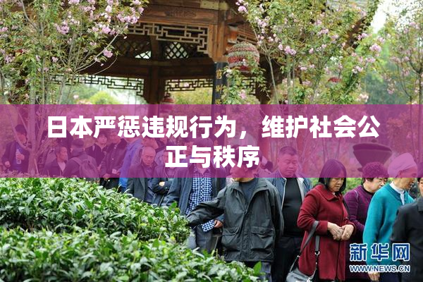 日本严惩违规行为，维护社会公正与秩序