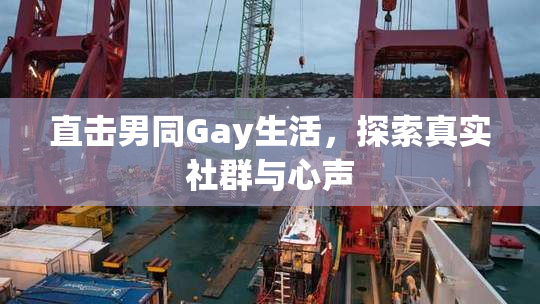 直击男同Gay生活，探索真实社群与心声