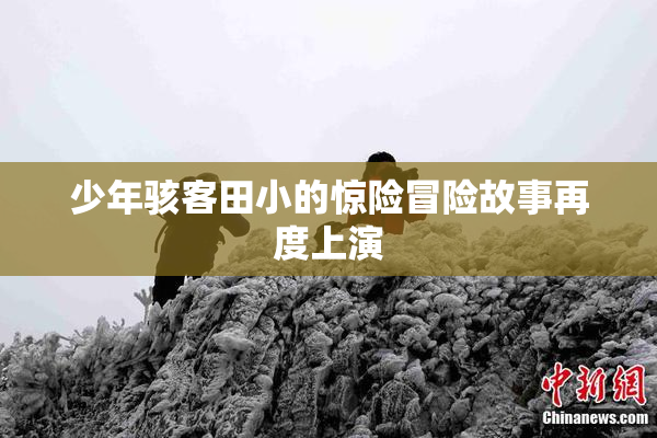 少年骇客田小的惊险冒险故事再度上演