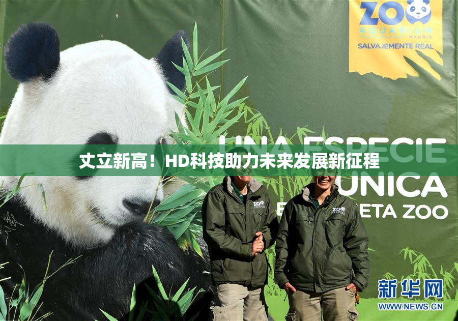 丈立新高！HD科技助力未来发展新征程