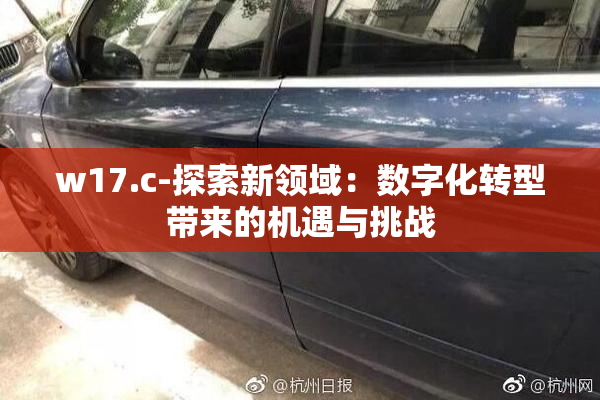 w17.c-探索新领域：数字化转型带来的机遇与挑战