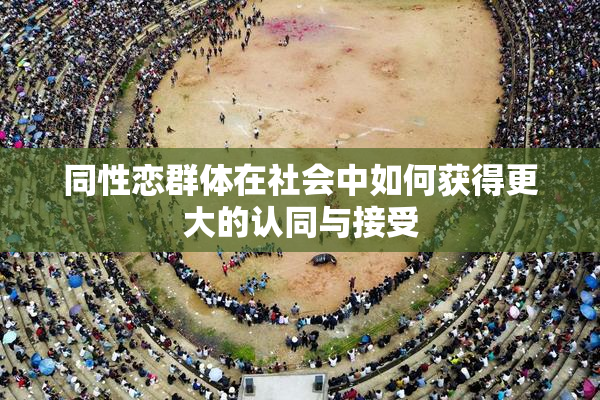 同性恋群体在社会中如何获得更大的认同与接受