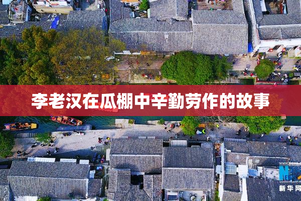 李老汉在瓜棚中辛勤劳作的故事
