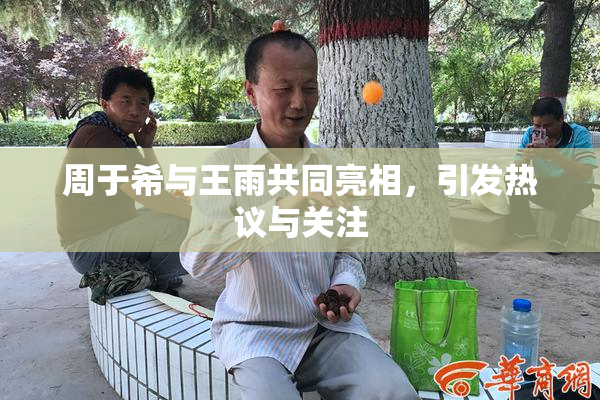 周于希与王雨共同亮相，引发热议与关注