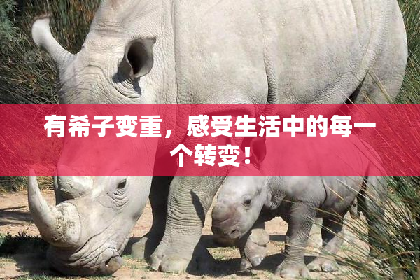 有希子变重，感受生活中的每一个转变！