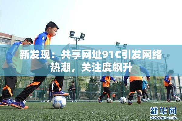新发现：共享网址91C引发网络热潮，关注度飙升