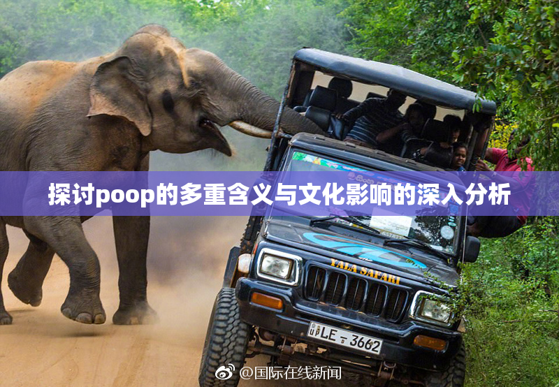探讨poop的多重含义与文化影响的深入分析