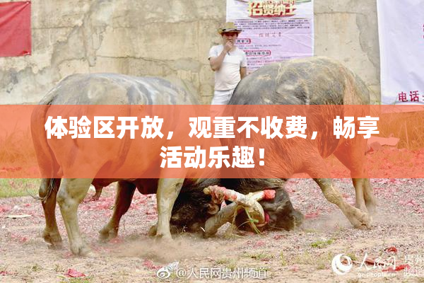 体验区开放，观重不收费，畅享活动乐趣！