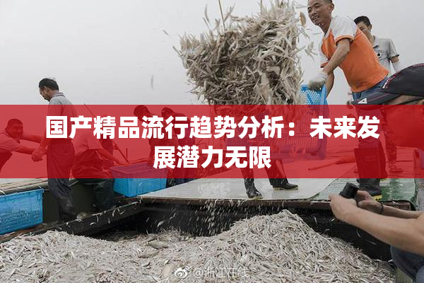 国产精品流行趋势分析：未来发展潜力无限