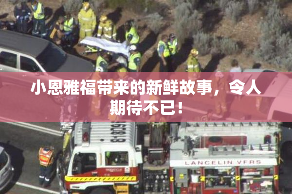 小恩雅福带来的新鲜故事，令人期待不已！
