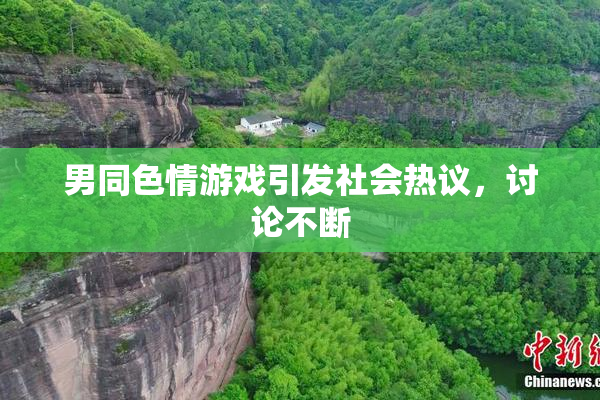 男同色情游戏引发社会热议，讨论不断