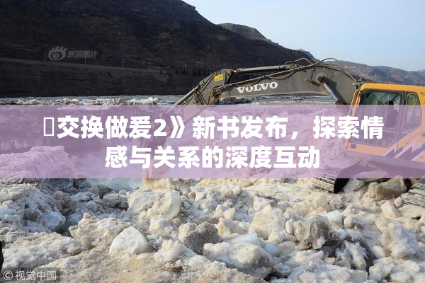 巜交换做爰2》新书发布，探索情感与关系的深度互动