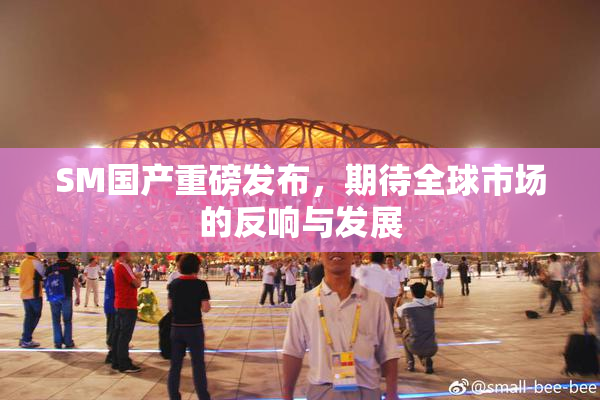 SM国产重磅发布，期待全球市场的反响与发展