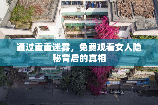 通过重重迷雾，免费观看女人隐秘背后的真相
