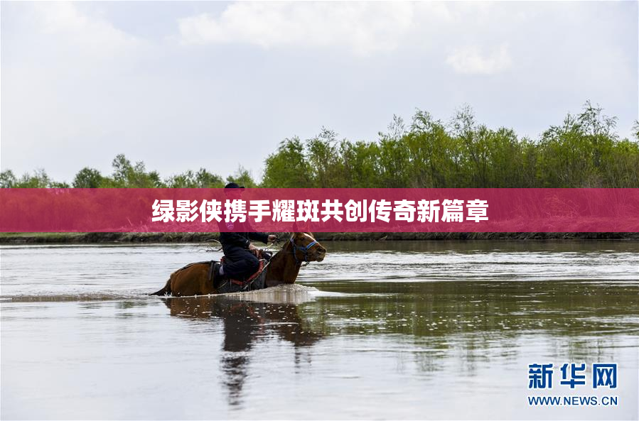 绿影侠携手耀斑共创传奇新篇章