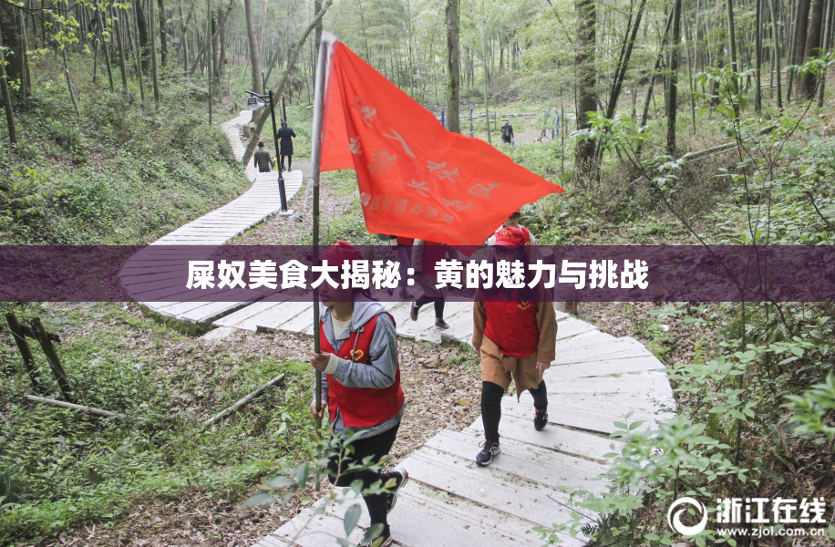 屎奴美食大揭秘：黄的魅力与挑战